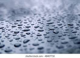 Photo & Image Portfolio by JASON TENCH