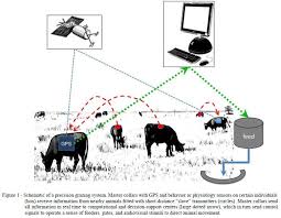 Big Data In Ranching And Animal Husbandry Big Data Data Animal Husbandry