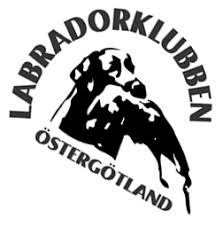 Gå med för att skapa kontakt region östergötland. Labradorklubben Region Ostergotland Photos Facebook