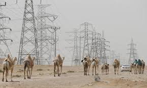 What does purchasing power mean? Camels On Eastern Province Roads Pose Danger To Motorists Arab News