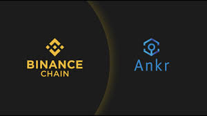To start staking cryptocurrency, you need to follow these five steps a software wallet is essential to the staking process as it is where you store the funds used for staking. How To Stake Binance Coin Bnb On Binance Chain Extension With Ankr Validator 0 Commission Youtube
