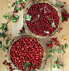 Confiture De Baies D Aubepine Et D Eglantier Confiture Plantes Sauvages Comestibles Cuisine Sauvage