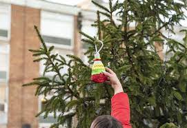 We did not find results for: How To Recycle Your Christmas Tree In Kent