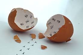 Fond d'écran : des œufs, attendre, Macro, humour, afficher l'heure,  aliments, trace de pas, fond blanc, shellseggs,  Httpwwwimagekindcomartistsdonatus, intérieur 4928x3264 - - 1109480 - Fond  d'écran - WallHere