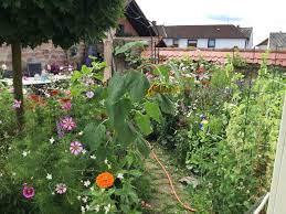 Kleinen Garten Neu Anlegen So Geht Es Unser Garten Nach Anlage Ab Marz Hier Im August 3 Www Muhvie De Garten Neu Anlegen Garten Anlage