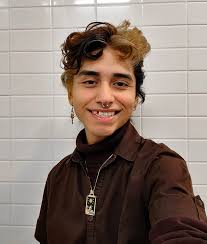 Artaxis Fellowship • Artaxis.org