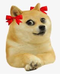 335 transparent png illustrations and cipart matching doge. Doge Kid Hat Hd Png Download Transparent Png Image Pngitem