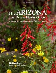 Trees play a very important role in the desert, as they are one of the tallest plant species and provide necessary shade and protection for other desert plants. Arizona Low Desert Flower Garden The A Seasonal Guide To Bloom Height Color And Texture Mathura Kirti Rambo Jennie 9781586858964 Amazon Com Books