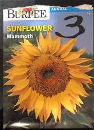 A wide variety of hybrid sunflower seed options are available to you, such as processing type, cultivation type, and style. Planting Sunflowers North Carolina Cooperative Extension