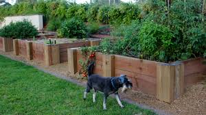 Kitchen Garden A Must On Any Acreage Property Backyard Landscaping Designs Backyard Landscaping Landscaping Around Trees
