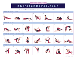 Log in to ekhartyoga or register for your free 2 week trial. 30 Day Yoga Challenge Beginner Yogawalls