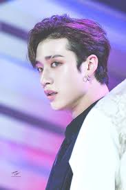 Straykids Bangchan Stray Kids Chan Stray Chris Chan