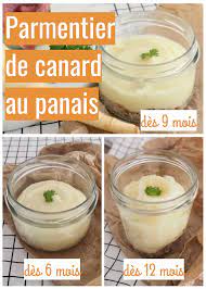 parmentier de panais au canard cuisinez pour bebe recette repas pour bebe faits maison aliments pour bebe faits maison panais