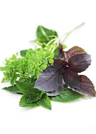 Bonnie plants lemon thyme is great in the garden and the kitchen. Assorted Basil Herbs Greeting Card For Sale By Elena Elisseeva Erbe Orto Spezie