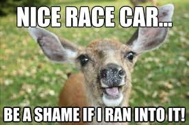 10 Pennsylvania Stereotypes That Are Completely Accurate Movoto Funny Deer Hunting Memes Hunting Humor