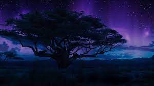 The great collection of colorful 4k wallpaper for desktop, laptop and mobiles. Free Download 4k Black Wallpaper Desktop Background Black Panther Movie 1920x1080 For Your Desktop Mobile Tablet Explore 62 Google Desktop Background Pictures Google Wallpaper Images Google Wallpapers And Backgrounds