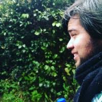 21400+ "Brenes" profiles