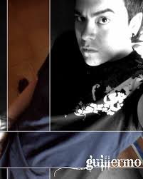 guillermo alejandro salas gallegos