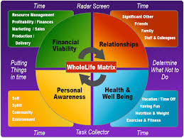 making 1mm using the wholelife matrix in your business and