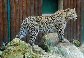 ZOO Bojnice, Zoologická záhrada - Travelguide.sk