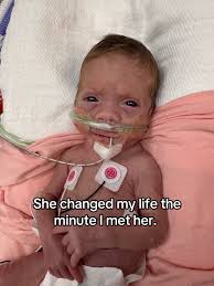 Taylor Cryer 🍋 (@taycryer)