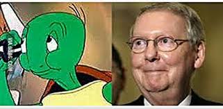 Now that mitch mcconnell thinks he's finished destroying america he's off to spawn but can't find his mommy! Mitch Mcconnell Looks Like The Turtle From Looney Tunes 9gag