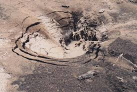 images?q=tbn:ANd9GcRojDuxPixxfnW_13AT1go