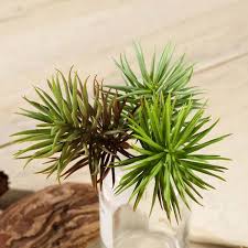 We did not find results for: Artificial Succulents Faux Succulent Plants Efavormart