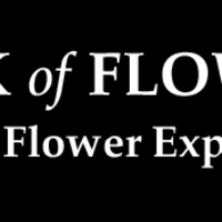 Dinas powys village is spread across the full width of a traditional wooded valley, with the cadoxton river running in the river valley. Bank Of Flowers Dinas Powys Florists Yell