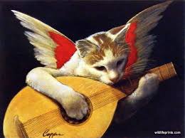 Melinda Copper Gizmo Angel Cat Art Cats Illustration Cats Artists