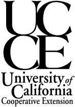 2004 Fresh Market Tomato