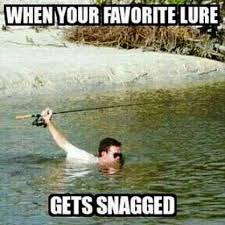 Funniest Fishing Memes In 2021 Cast And Spear