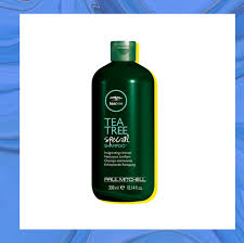 What is the best shampoo for oily hair and dandruff? 13 Best Shampoos For Dry Scalp Of 2021