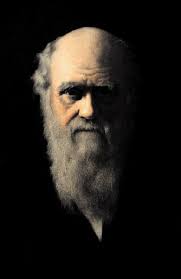 Darwin, man van het millennium