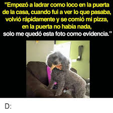 I just feel it isn't discussed, not the way it should be. 25 Best Memes About Fui Fui Memes