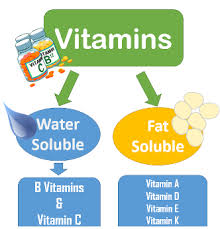 Vitamin Lesson For Kids Facts Definition Study Com