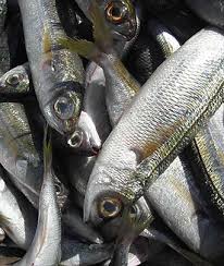 Image result for Boops boops