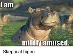 15 Hilarious Hippo Memes Human Resources Humor Hippo Funny Animals