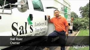 You'll get excellent service at a fair price. Best 30 Lawn Mowing Services In Arlington Tx With Reviews Yp Com