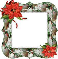 Poinsettia Flower Border Christmas Frames Christmas Border