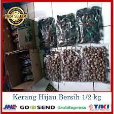 Sebagian besar air yang ada di bumi ini adalah air laut. Jual Promo Kerang Ijo 1 2 Kg Kerang Hijau Kijing Kerang Hijau Besar Jakarta Utara Rumah Salmon Tokopedia