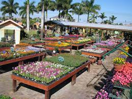 Annual Plant Tables Garden Center Displays Planting Flowers Garden Decor Projects