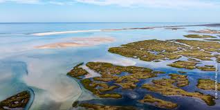 It's well worth driving to olhao or faro to get the ferry to other islands, and see the wild life. No Jet Skis In Ria Formosa Home Facebook