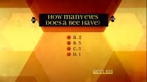 Challenge them to a trivia party! Bee Movie Dvd Review