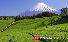Shizuoka Ocha no Daisan 2022 Plenty of 300g Shizuoka Tea Deep Steamed –  Japacle