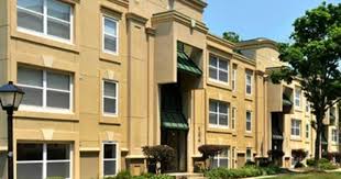 Stuart Woods Pet Friendly Apartments Herndon Va Pet Friendly Apartments Apartment Pet Stuart Woods
