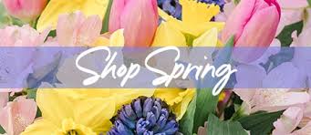 Maybe you would like to learn more about one of these? Hot Springs Florist Flower Delivery By Norman Florist Greenhouses Inc