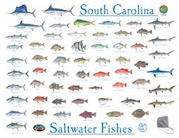 Maybe you would like to learn more about one of these? Fishing