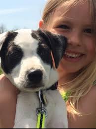 Our 45 Favorite Outdoorsy Dog Names Inspired By Nature