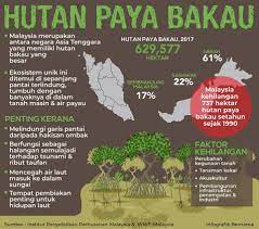 Hutan paya bakau menyumbang kepada ekonomi dengan sumber lautnya yang kaya serta kayu yang bermutu tinggi, menyelamatkan harta benda dan nyawa dengan menghalang proses hakisan pantai dan menapis bahan cemar dari laut dan. Laman Blog Pendidikan Moral Contoh Soalan Spm Hutan Paya Bakau